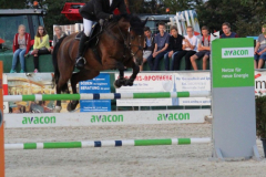 378Kleines2016