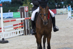387Kleines2016