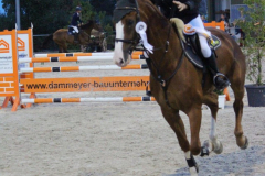 388Kleines2016