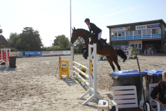 496Kleines2016