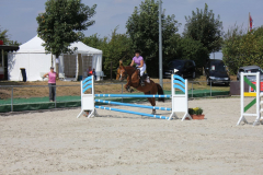 570Kleines2016