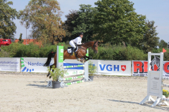 587Kleines2016