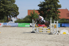 591Kleines2016