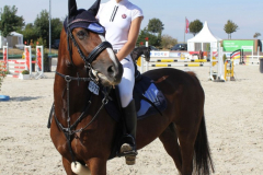 613Kleines2016