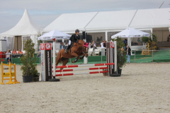 653Kleines2016