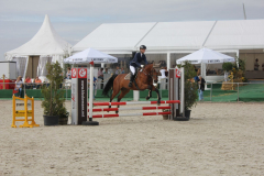 655Kleines2016