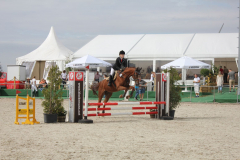 661Kleines2016