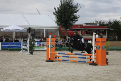 669Kleines2016