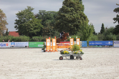 675Kleines2016