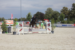 677Kleines2016