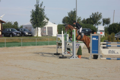 17-Reitturnier-2013