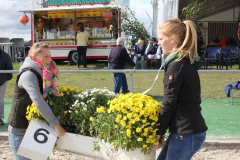 221-Reitturnier-2013