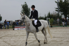 24-Reitturnier-2013-2