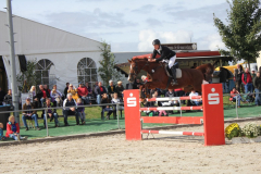 253-Reitturnier-2013