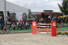 263-Reitturnier-2013