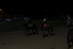 352-Reitturnier-2013