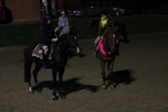 353-Reitturnier-2013