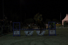 361-Reitturnier-2013