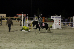 367-Reitturnier-2013