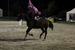 376-Reitturnier-2013