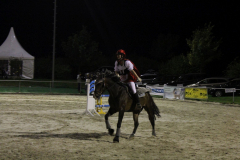 382-Reitturnier-2013