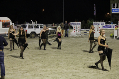 393-Reitturnier-2013