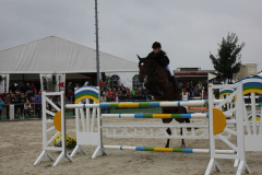 494-Reitturnier-2013